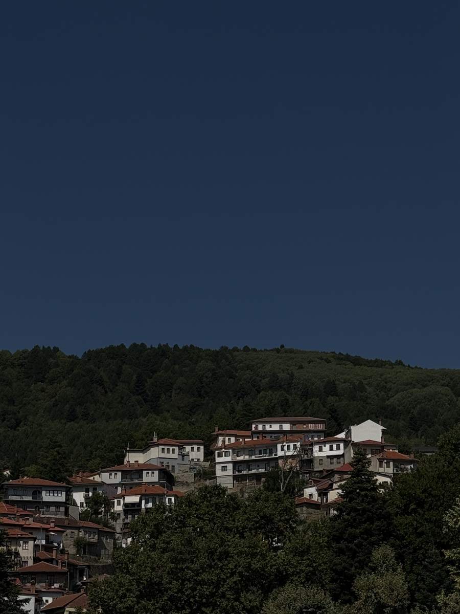 Metsovo landscape