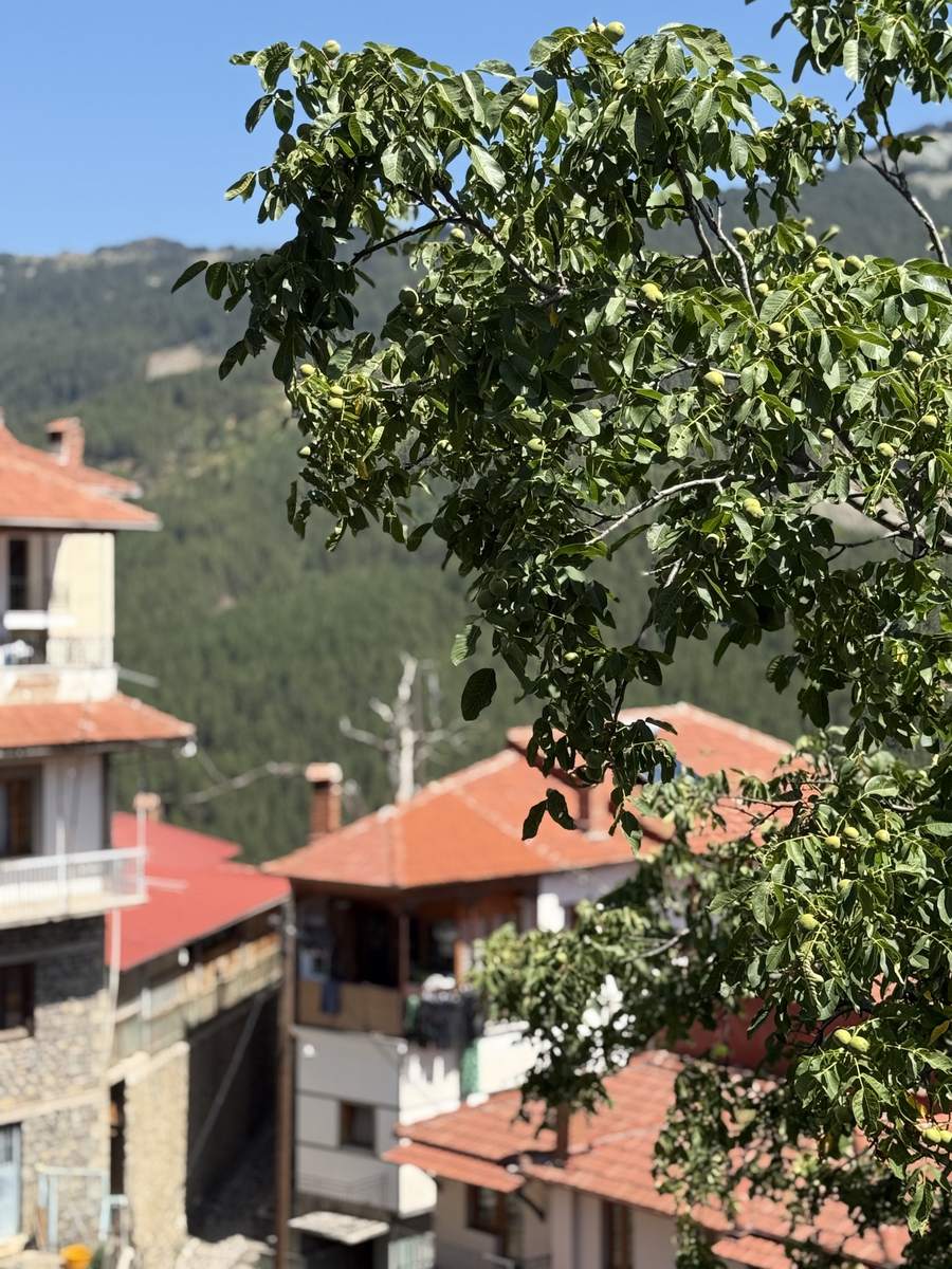 Metsovo detail