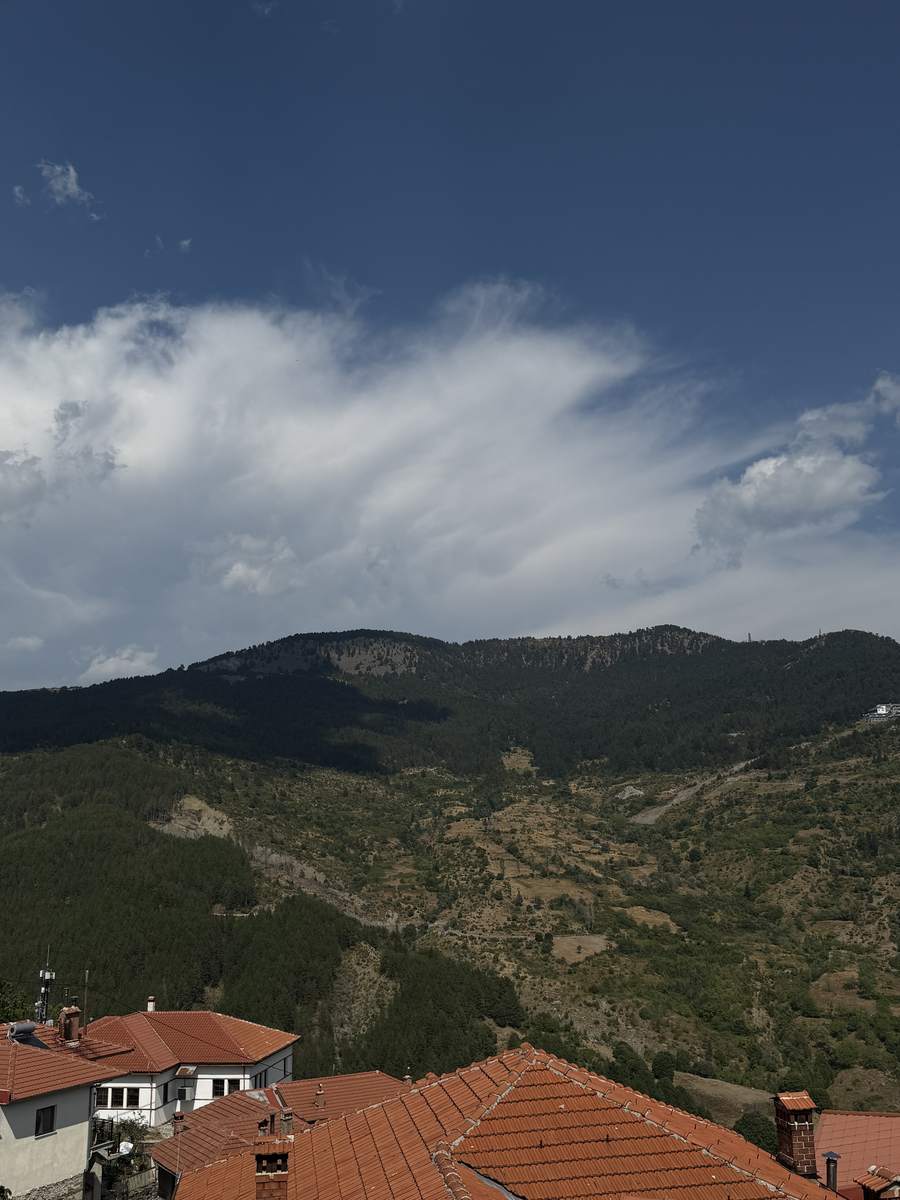 Metsovo detail